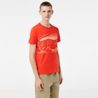 Lacoste Novak Djokovic Orange T-shirt  Offer + Cheap