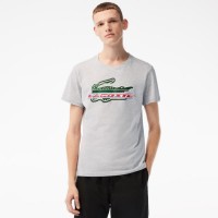 Camiseta Lacoste Sport Algodon Ecologico Gris  Oferta + Barato