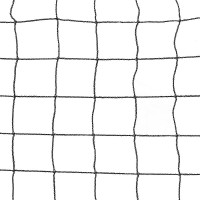 Elementale Joola Red Pickleball